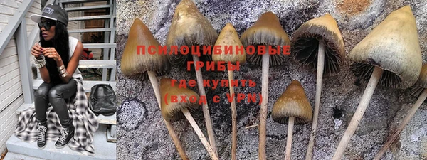стафф Абдулино